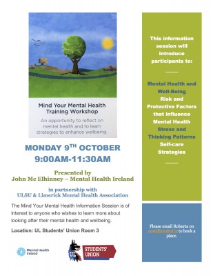 Mind your mental health workshop - John McIlheny.jpg